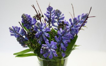 Cut flowers Delfts Blue