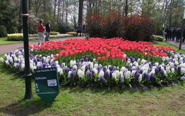 Keukenhof 2015