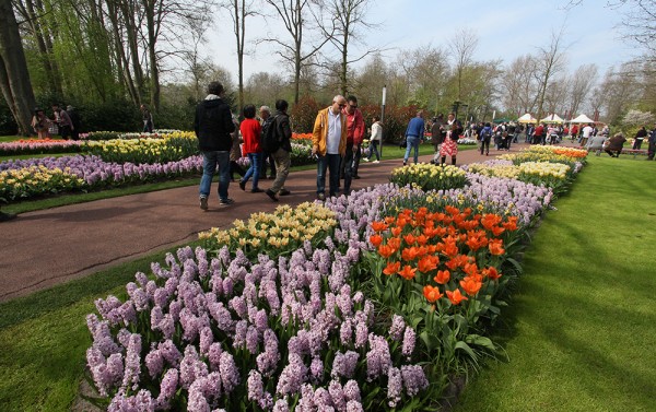 Keukenhof 2015