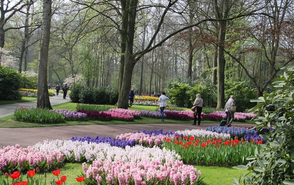 Keukenhof